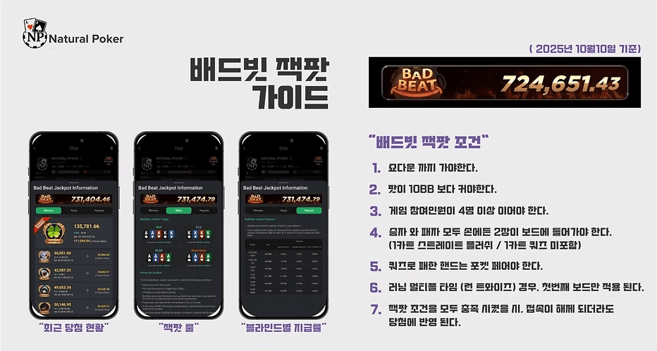 배드빗 잭팟 조건